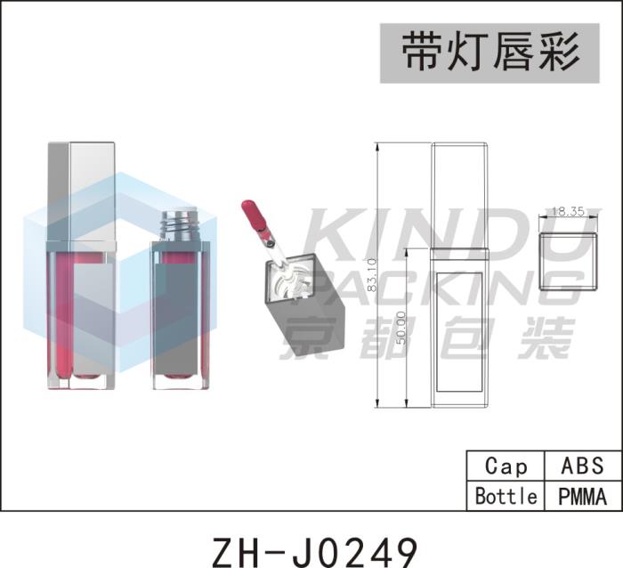 Lip Gloss with LED Light ZH-J0249